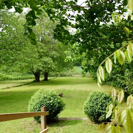 - Stilvoll, Grosszuegig Mit Sauna & Grossem Garten *